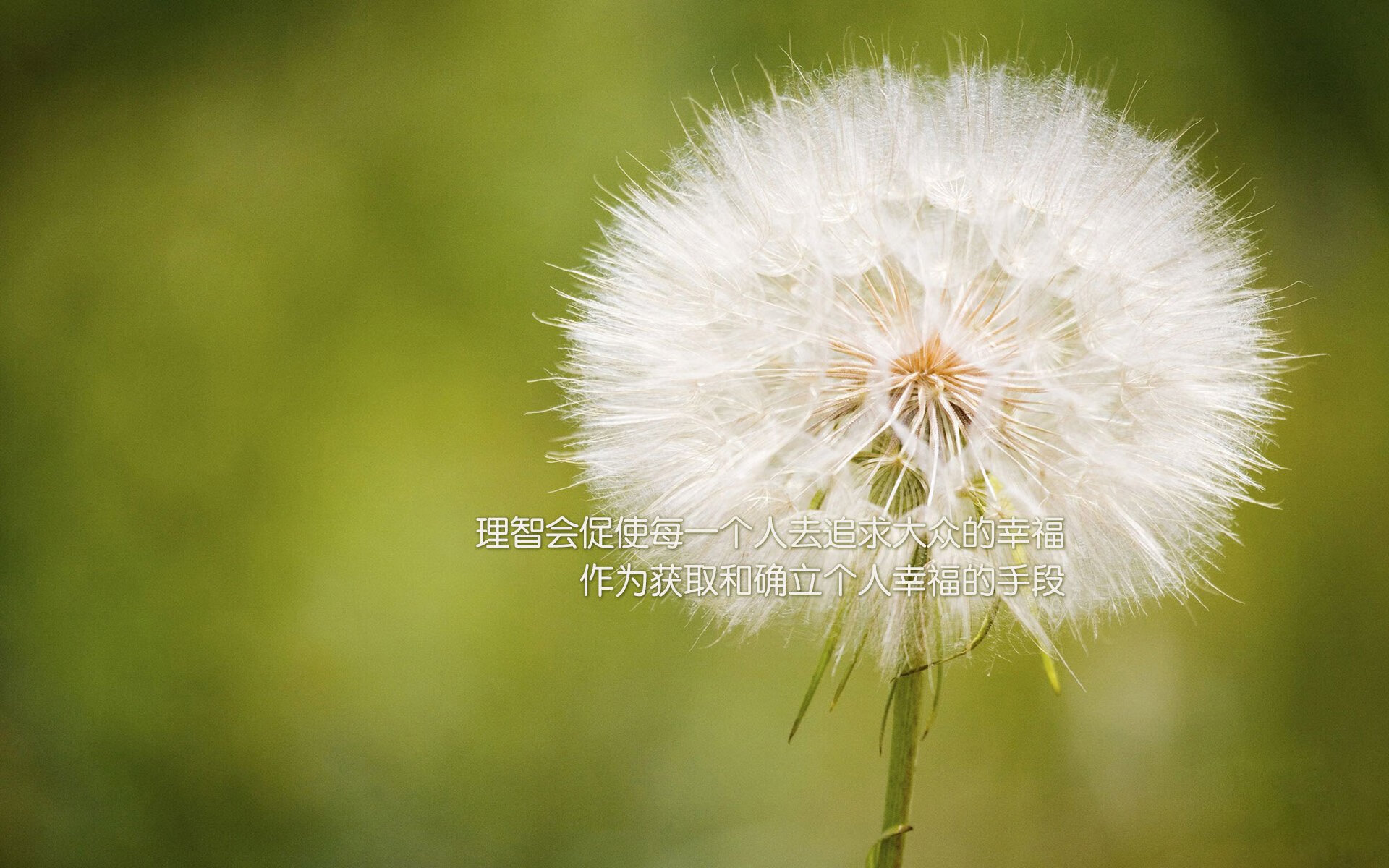 开云下载-“农村足球振兴计划全面启动，普及基层足球运动”，乡村足球俱乐部