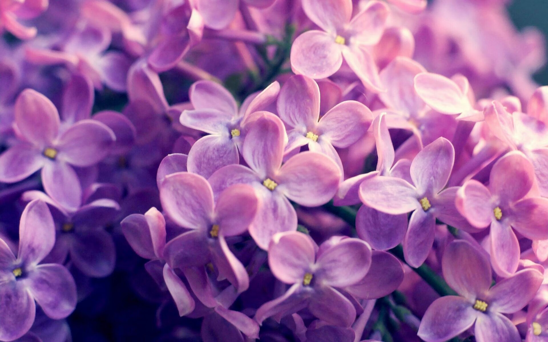 开云官网-突发事件背后的英雄:救援团队全纪录,救援事故案例分析及防范措施