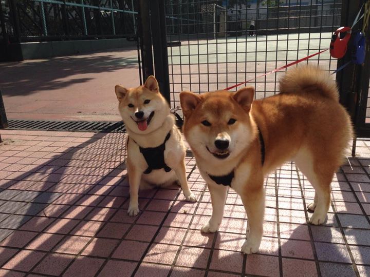 开云体育官网-RNG新人选手表现抢眼,rng新上单new资料