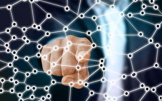 kaiyun-中国篮球职业联赛青训体系的结构优化，中国青年篮球联赛简称