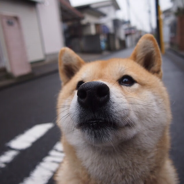 开云娱乐app安全登录-传奇教练：那些战术大师的执教哲学，传奇教练徽章