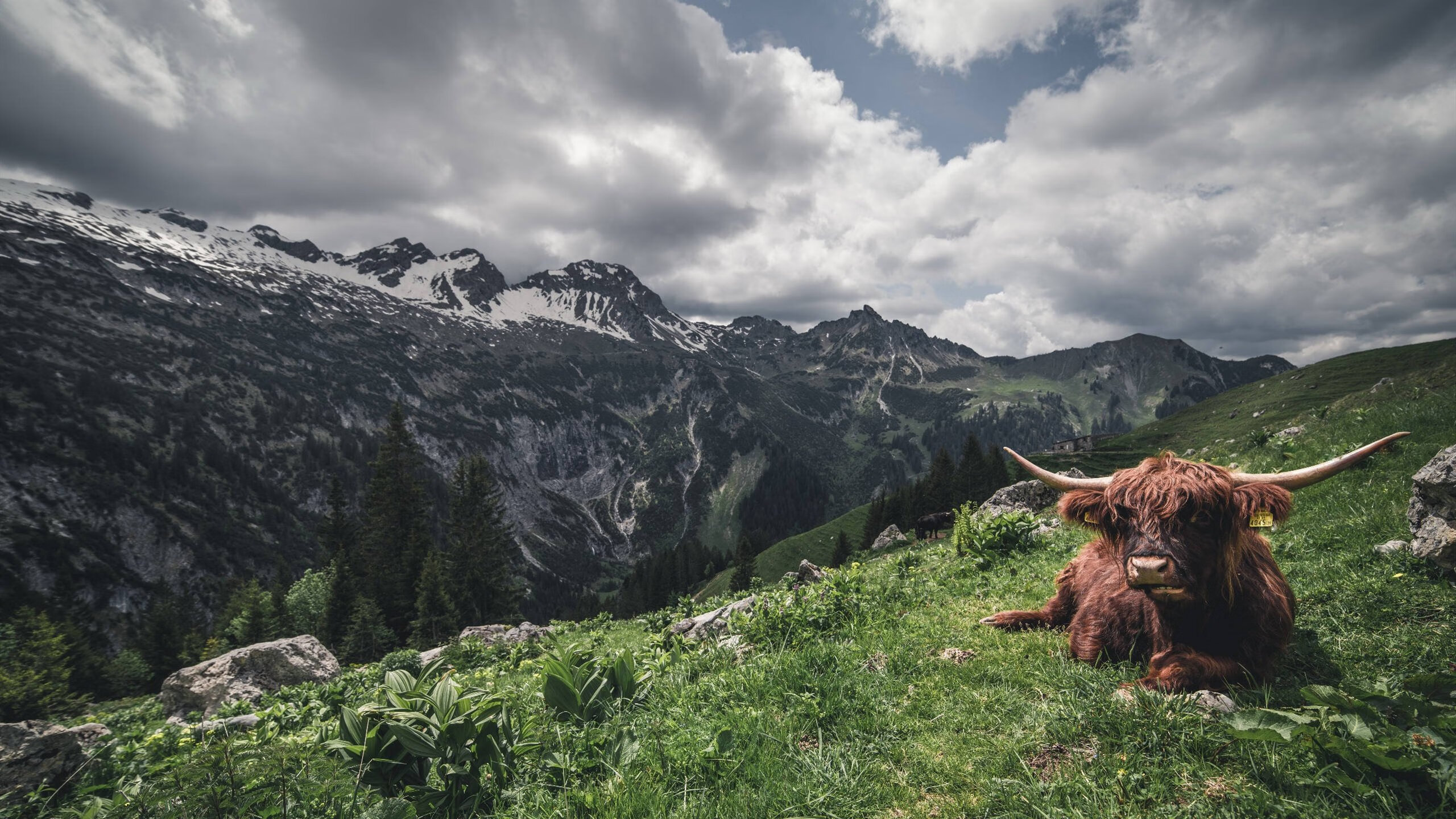 开云体育保障-亚洲杯中国队逆转 战术调整收效明显,亚洲杯中国队提前出线