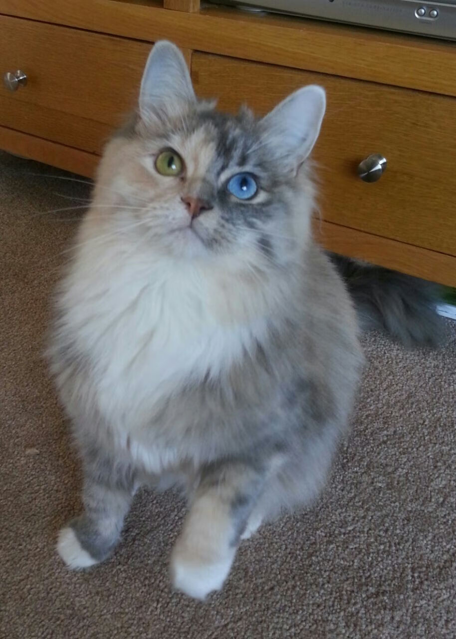 开云体育APP-俱乐部战略规划与执行力不足,俱乐部战略规划与执行力不足怎么办